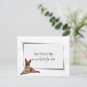 Duitse Herder Sympathie Huisdier Verlies Briefkaart (Staand voorkant)