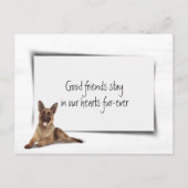 Duitse Herder Sympathie Huisdierverlies Briefkaart (Voorkant)