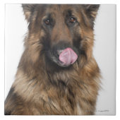 Duitse herder tegeltje (Voorkant)