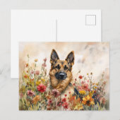 Duitse Herder Tussen Kleurrijke Wilde Bloemen Briefkaart (Voorkant / Achterkant)