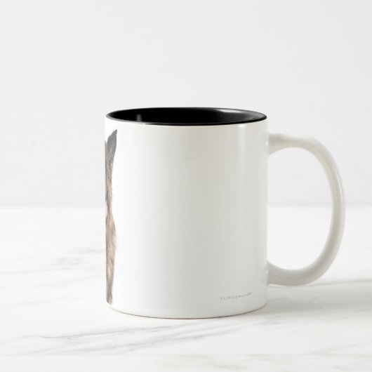 Duitse herder tweekleurige koffiemok (Rechts)