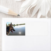 Duitse herder/Vaderdag Etiket (Insitu)