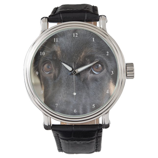 Duitse herder van Shirley Taylor Horloge (Voorkant)