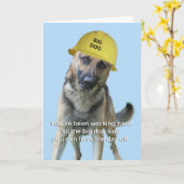 Duitse herder verjaardag Kaart door Focus for a Ca (Gele Bloem)