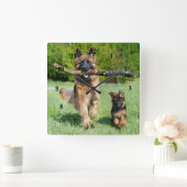 Duitse herder vierkante klok (Huis)