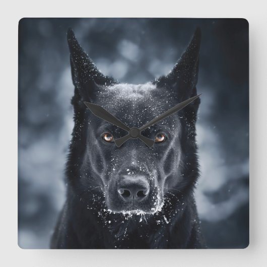 Duitse herder vierkante klok (Voorkant)