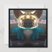 Duitse herder weerspiegelde vervorming kaart (Voorkant)