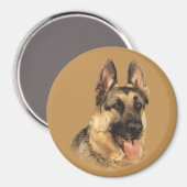 Duitse herder zeer knappe magneet (Voorkant / Achterkant)