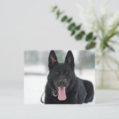 duitse herder zwarte sneeuw briefkaart (Staand voorkant)