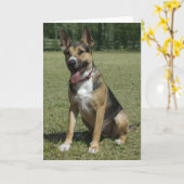 Duitse herderblanco kaart (Gele Bloem)