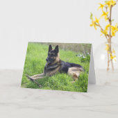 Duitse herderdag kaart (Gele Bloem)