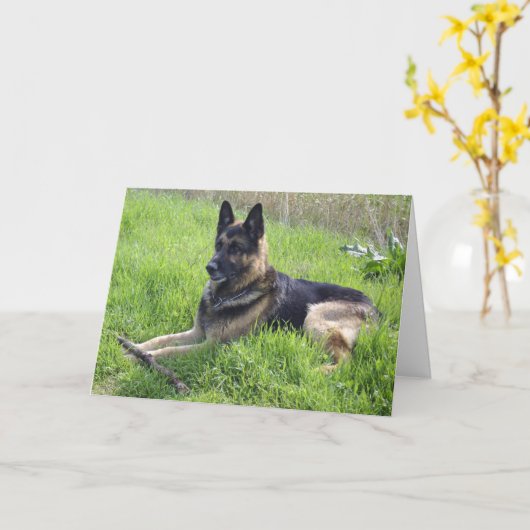 Duitse herderdag kaart (Gele Bloem)