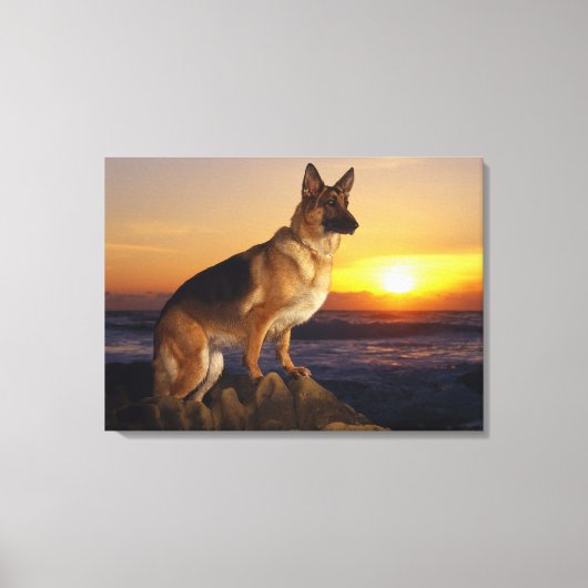 Duitse herderhond canvas afdruk (Voorkant)