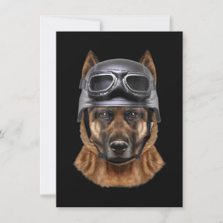 Duitse herderhond , fietser in motorrijwiel helmet kaart
