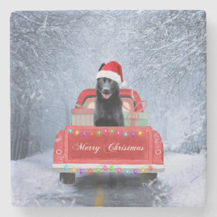 Duitse herderhond in sneeuw met Kerstmis Stenen Onderzetter