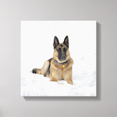 duitse herderhond op sneeuwcanvas canvas afdruk (Voorkant)