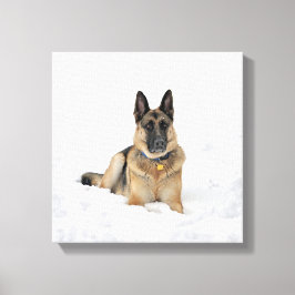duitse herderhond op sneeuwcanvas canvas afdruk