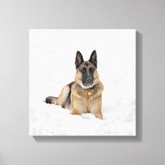 duitse herderhond op sneeuwcanvas canvas afdruk (Voorkant)