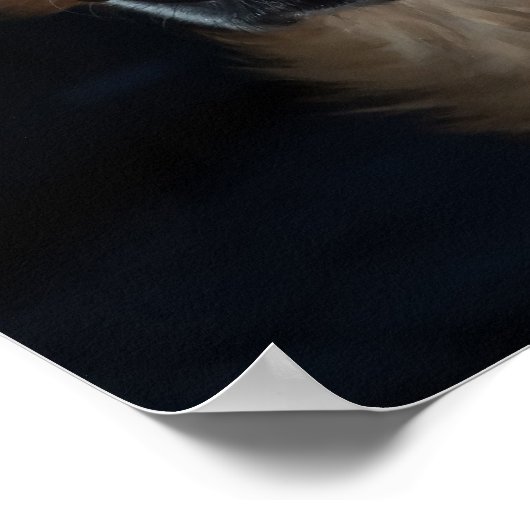 Duitse herderhond poster (Hoek)