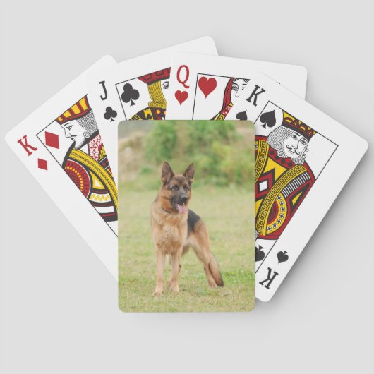 Duitse herderhond speelkaarten (Achterkant)