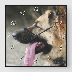 Duitse herderhondklok vierkante klok