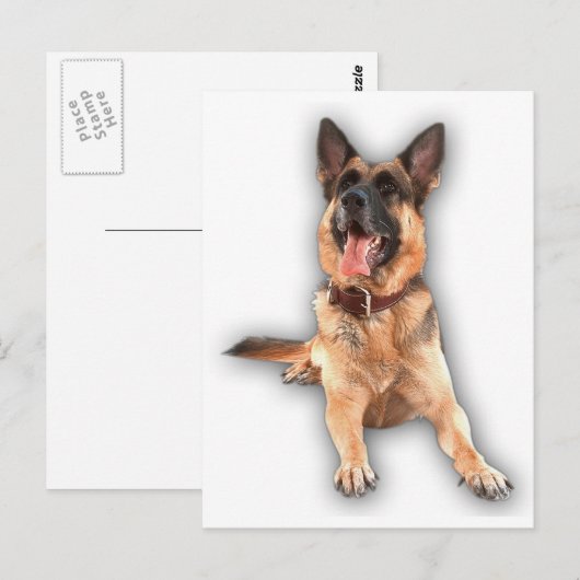 Duitse herderlacht briefkaart (Voorkant / Achterkant)
