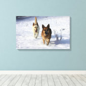 Duitse herders die in de sneeuw lopen canvas afdruk (Insitu (Houten vloer))