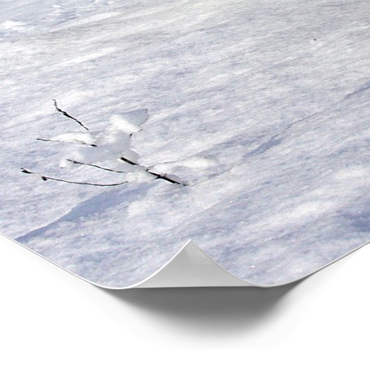 Duitse herders die in de sneeuw lopen poster (Hoek)