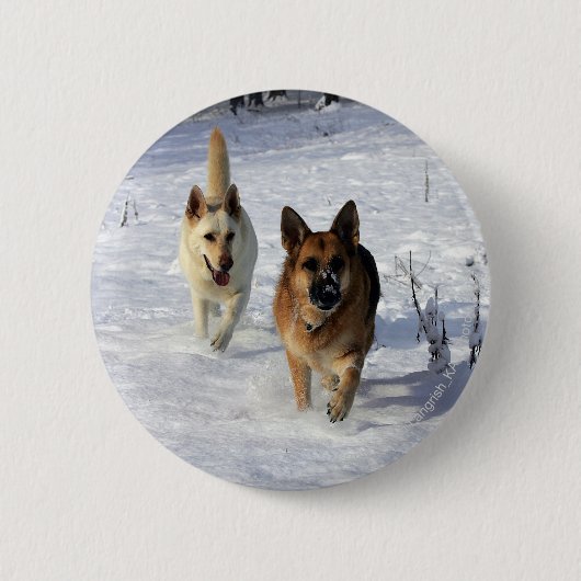 Duitse herders die in de sneeuw lopen ronde button 5,7 cm (Voorkant)