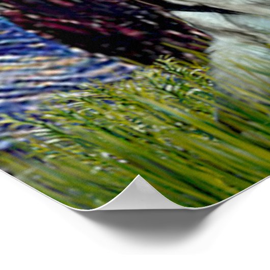 Duitse herders drie - Sterrennacht Poster (Hoek)