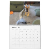 Duitse herders in actie kalender (Feb 2027)