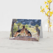 Duitse herders in het Wenskaart Red Rock Canyon Kaart (Gele Bloem)