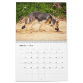 Duitse herders kalender (Feb 2026)