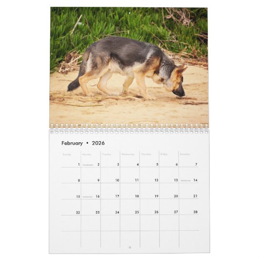 Duitse herders kalender (Feb 2026)