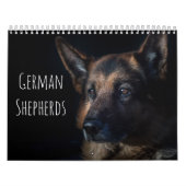 Duitse herders kalender (Hoes)