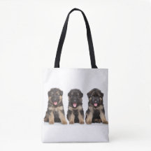 Duitse Herders Pups