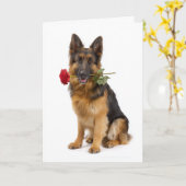 Duitse Herders Valentijn Kaart (Gele Bloem)