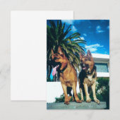 Duitse herdersgroep bedankkaart (Voorkant / Achterkant)