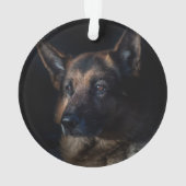 Duitse herdersherdenkingsmonument ornament (achterkant)