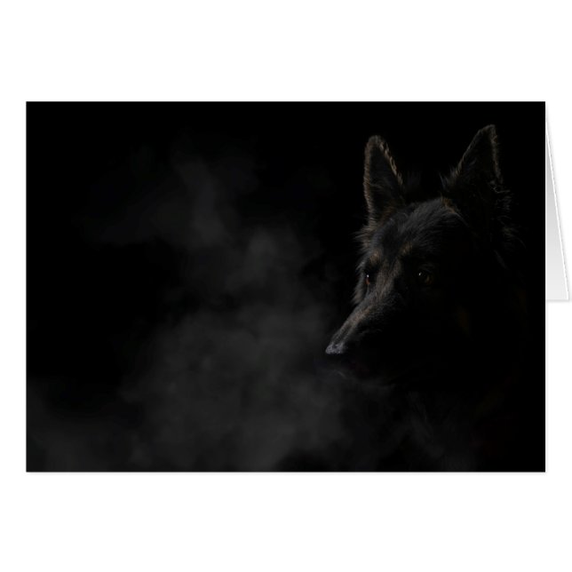 Duitse herdershond (Voorkant Horizontaal)