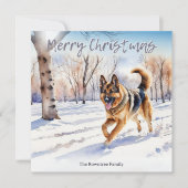 Duitse Herdershond Alsatian Sneeuw Kerstmis Feestdagenkaart (Voorkant)
