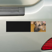 Duitse Herdershond Bumpersticker (Op auto)