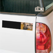 Duitse Herdershond Bumpersticker (Op Truck)