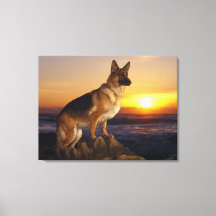 Duitse herdershond canvas afdruk