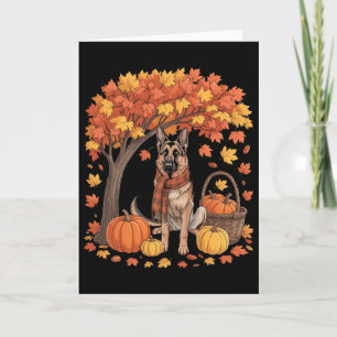 Duitse Herdershond Herfst Sjaal Pompoen Herfst Dan Kaart