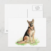 Duitse Herdershond, Hond, Huisdier, Dier Briefkaart (Voorkant / Achterkant)