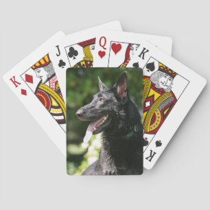 Duitse Herdershond Hoofdschot 2 Pokerkaarten