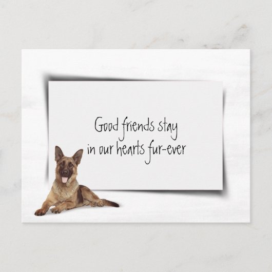 Duitse Herdershond Huisdier Medeleven Verlies Briefkaart (Voorkant)
