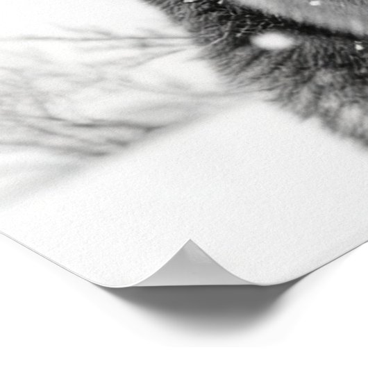 Duitse herdershond in sneeuw poster (Hoek)