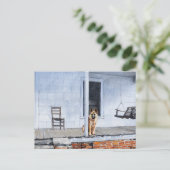 Duitse herdershond op de veranda briefkaart (Staand voorkant)